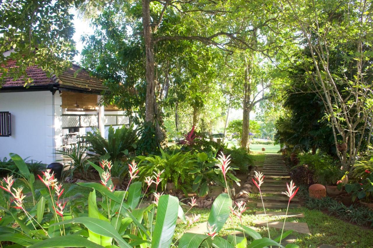 Don Hendrick (adults Only) Villa Tangalle